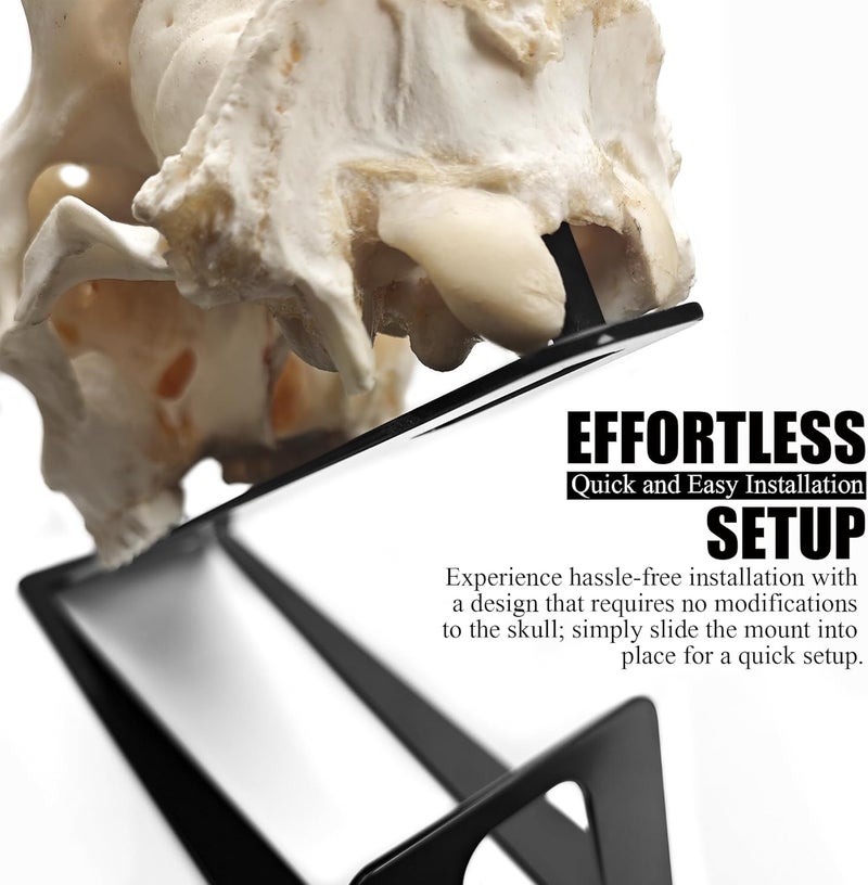 VMSIXVM European Mount Skull Hanger Stand, Heavy Duty Table Top Skull Hanger for Deer Head, Pronghorn and Other Smaller Animals, Euro Mount Taxidermy Deer Head Hooker for Desk Shelf Display - Image 3